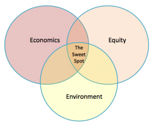 Is Sustainable Development an Oxymoron?