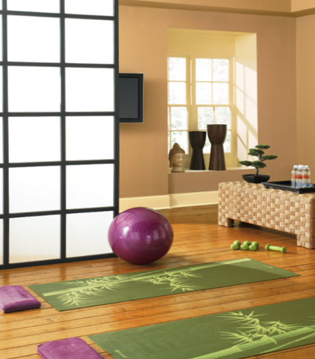 behr yoga studio Redecorating and the Empty Nesters HomeSpirations
