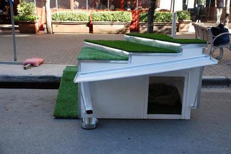 barkitecture 151 Eco Day ~ Dog House Designs and Which Would You Choose? HomeSpirations