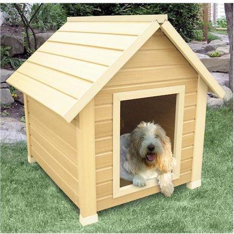 how do i choose a dog house