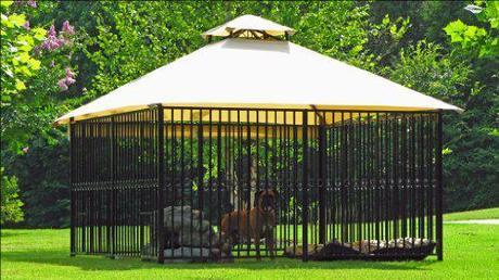 canine cage Eco Day ~ Dog House Designs and Which Would You Choose? HomeSpirations