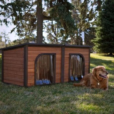 972620 0 8 0437 contemporary pet accessories Eco Day ~ Dog House Designs and Which Would You Choose? HomeSpirations