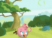 Angry Birds Seasons Will Have Bird Pink Color