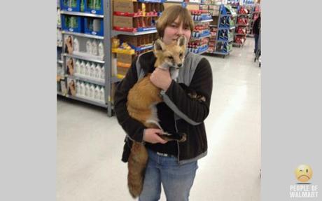 Rollback The Rainforest: The Top 13 Exotic Pets of Walmart