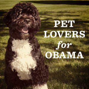 Pets in politics