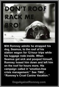 Pets in politics