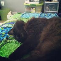 Instagram Recap: Unpacking. Instagram Recap: Unpacking.