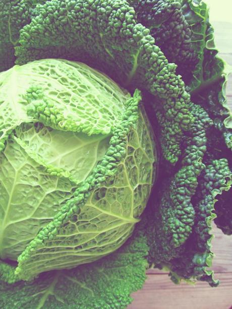 Early Spring Savoy Cabbage Salad with Lemony Vinaigrette