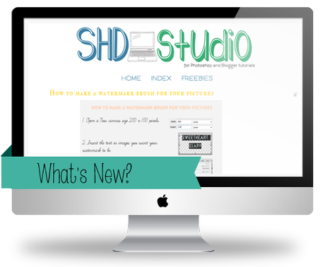 What NEW in the Studio & Animation Classes