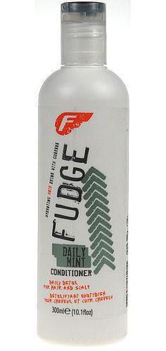 Fudge Daily Mint Conditioner