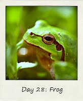 Frog #BlogFlash2012 Day 28