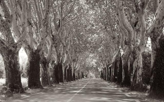 The liveliest village in France -Eygalieres, population - 1877