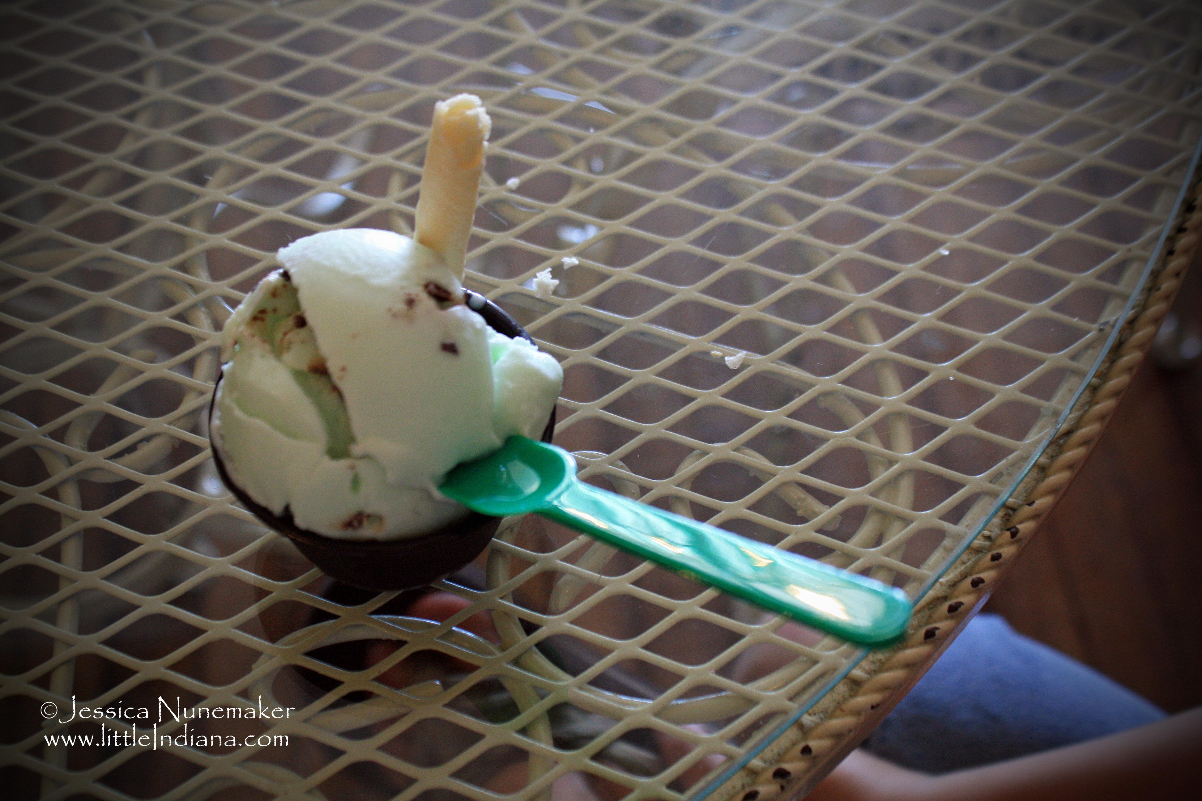 Dog Days Ice Cream Parlor: Chesterton, Indiana