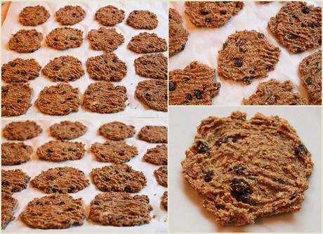 Oatmeal, Raisin, Coconut, and Chia Seed Cookies - Paperblog