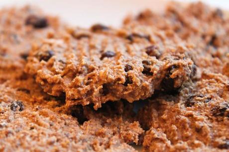 Oatmeal, Raisin, Coconut, and Chia Seed Cookies