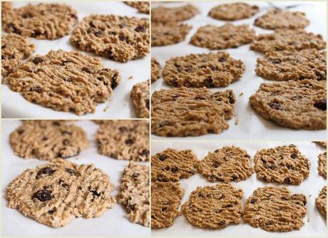 Oatmeal, Raisin, Coconut, and Chia Seed Cookies