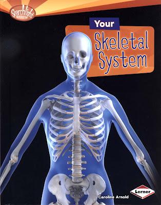 New Book! YOUR SKELETAL SYSTEM, Revised and Updated