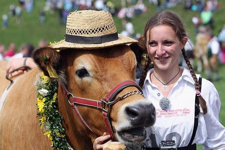 Opening cermonies began with a parade of flower drenched cows and lederhosen clad jockeys.: photo by Johannes Simon/Getty Images