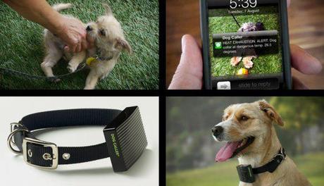 The Dog Caller alerts owners when dogs get too hot: composite image via fastcocreate.com