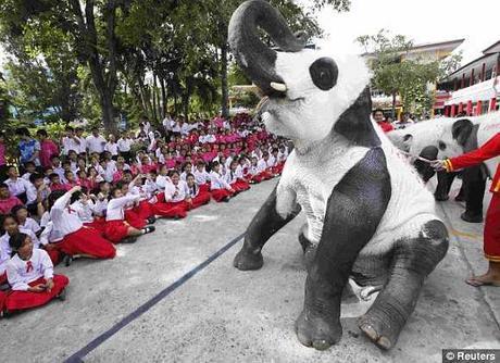 Pandas Expressed: The Top 10 Animal Panda Lookalikes
