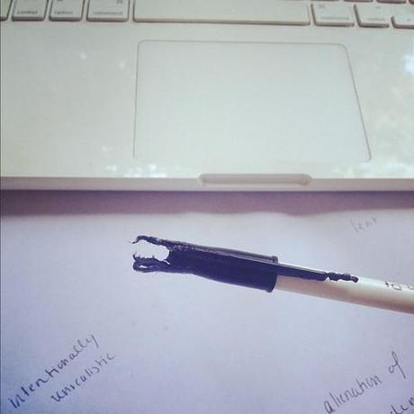 The result of writing reviews. (Taken with Instagram)