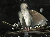 Labyrinth Song Shines [stream]