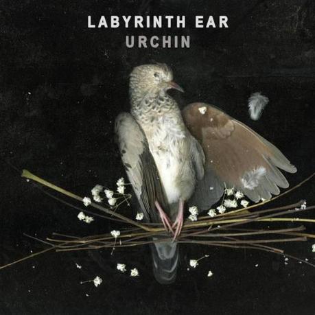  NEW LABYRINTH EAR SONG SHINES [STREAM]