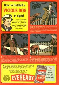 EveReady Ad