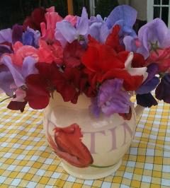 In praise of Sweet Peas