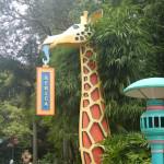 Giraffe Sign Animal Kingdom