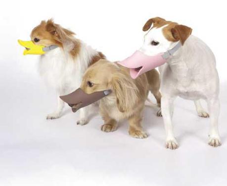 Quack Muzzle Is A Duckface For Dogs