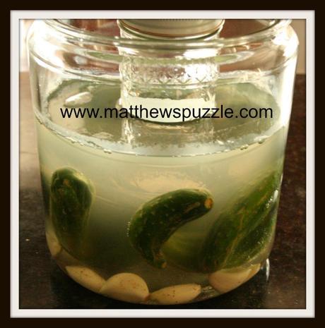 Naturally Fermented Pickle Recipe