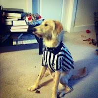 Instagram Recap: Labor Day. Instagram Recap: Labor Day.