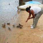 Hand Feeding Ducks