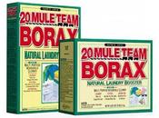 Household Uses Borax