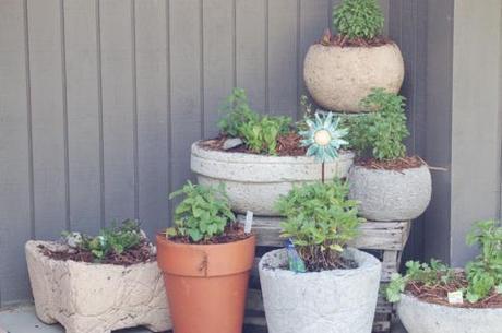 Hypertufa Container Garden