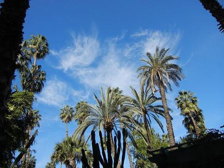 At the Jardin Majorelle/Friday