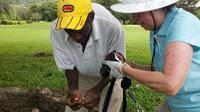 Jamaica golf courses