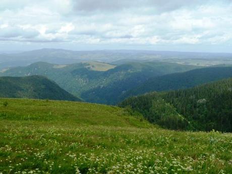 hiking in the black forest_ view from Feldberg