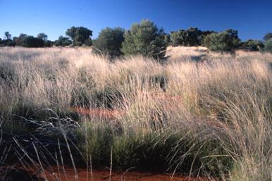 Australia's Red Center: Uluru