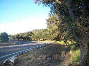 Balboa Trails - Golden Hill Part 2 of 2
