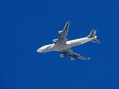 DVT and the Traveling Athlete