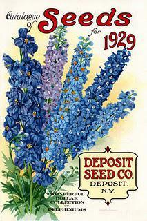 Vintage Seed Packet Images