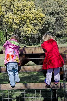Escaping in my home town - Collingwood Childrens' Farm