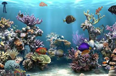 Hidden Objects Under Water - Paperblog