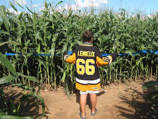 Corn maze!