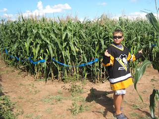 Corn maze!