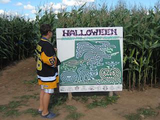 Corn maze!