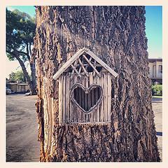 Birdhouse with a heart-shaped hole in it. Little town Kanab is a really nice place by the way.