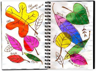 Tissue Leaves and Metallic Markers